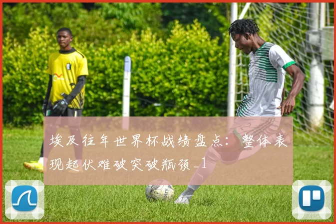 埃及往年世界杯战绩盘点:整体表现起伏难破突破瓶颈_1