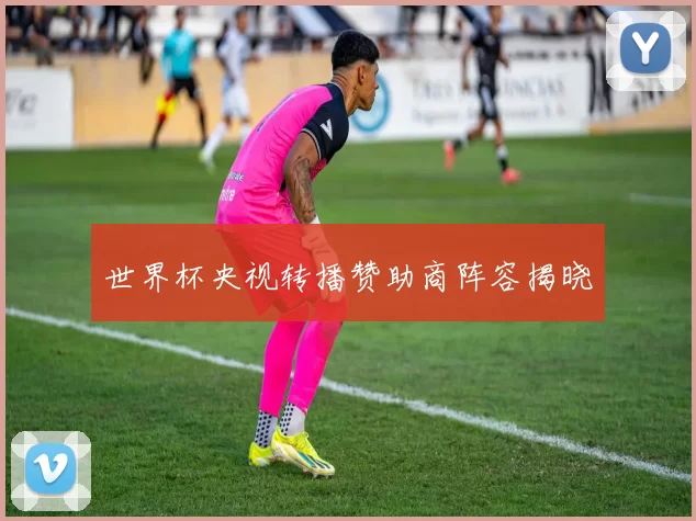 世界杯央视转播赞助商阵容揭晓