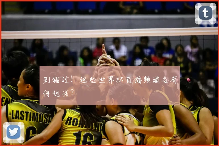 别错过!这些世界杯直播频道各有何优劣?