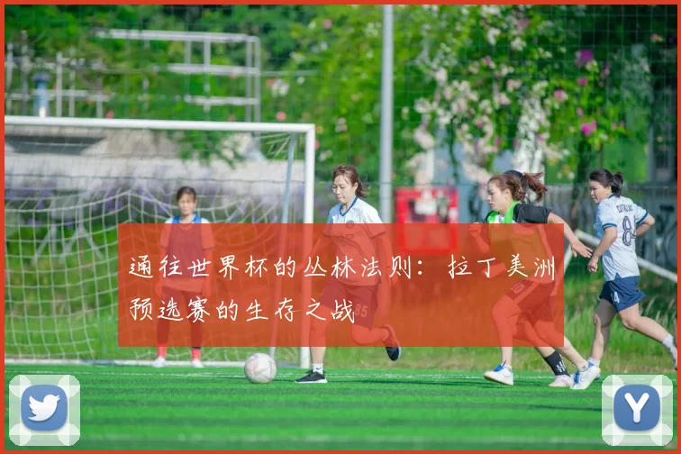 通往世界杯的丛林法则:拉丁美洲预选赛的生存之战
