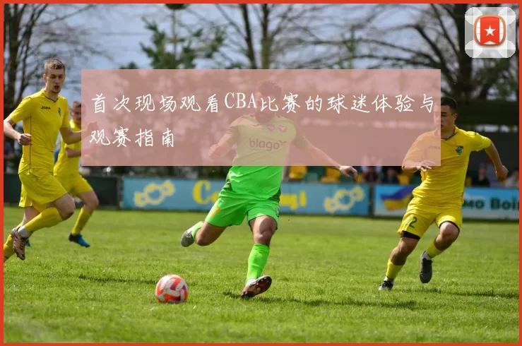 首次现场观看CBA比赛的球迷体验与观赛指南