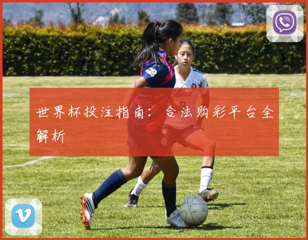 世界杯投注指南:合法购彩平台全解析