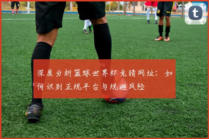 深度分析篮球世界杯竞猜网址:如何识别正规平台与规避风险
