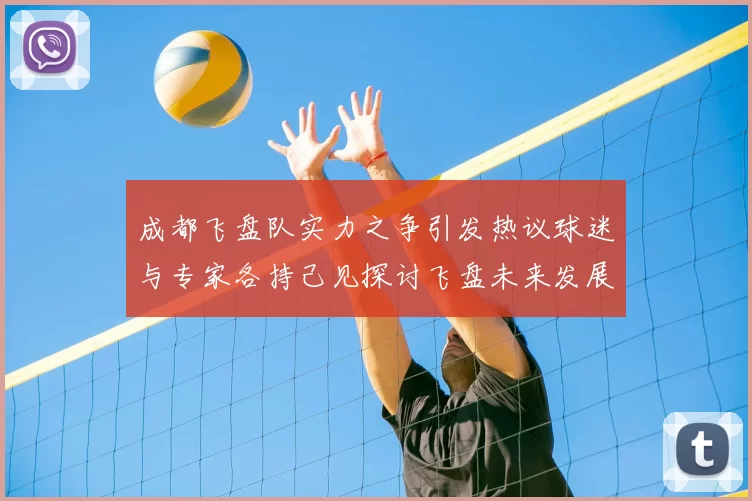 成都飞盘队实力之争引发热议球迷与专家各持己见探讨飞盘未来发展