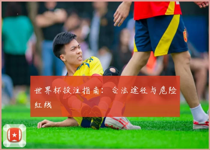 世界杯投注指南:合法途径与危险红线