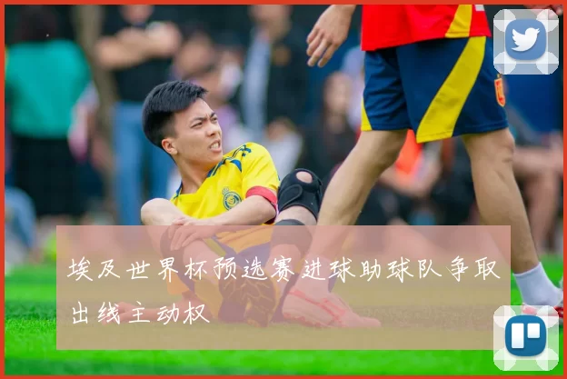 埃及世界杯预选赛进球助球队争取出线主动权